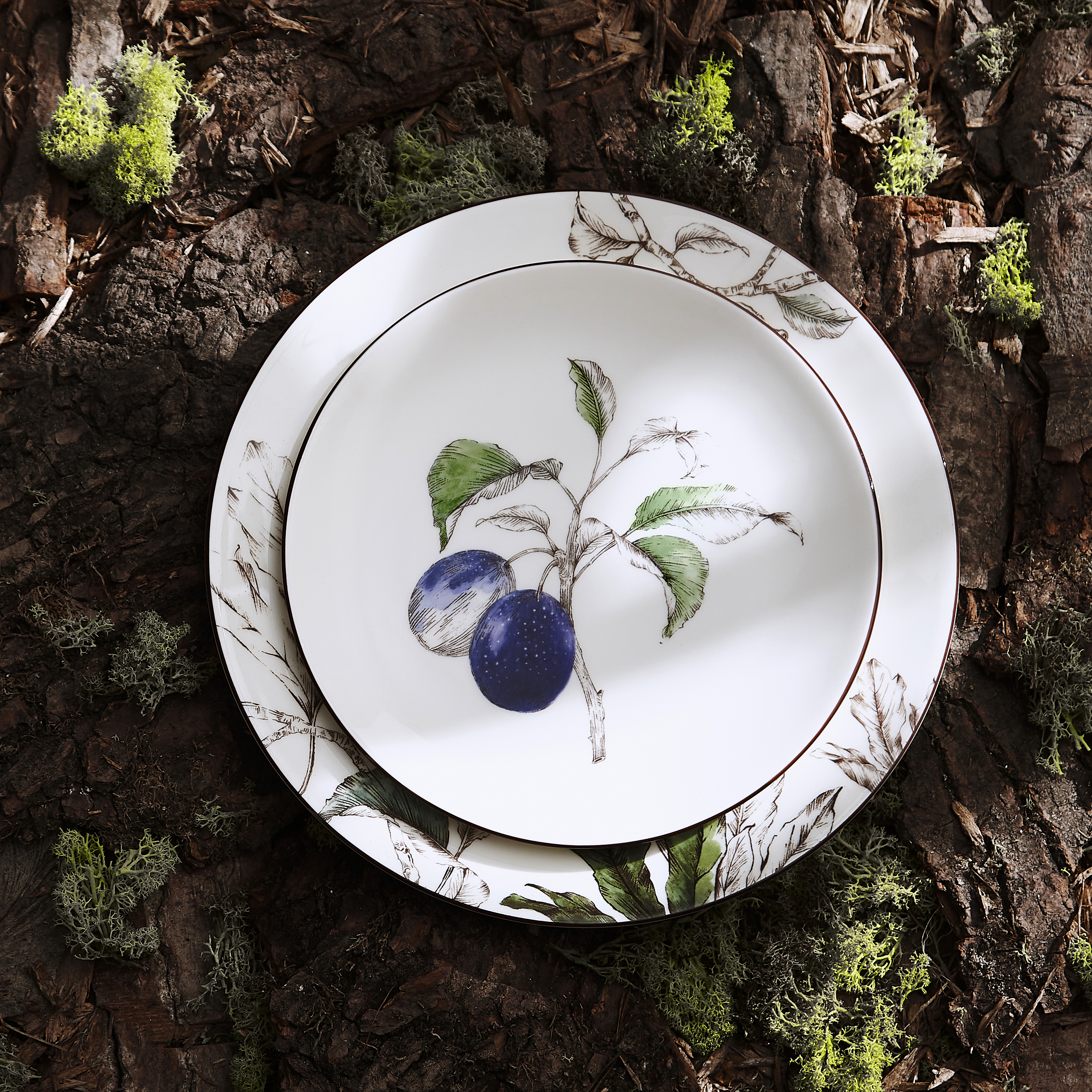 Nature's Bounty 9.5" Salad Plate (Plum) image number null